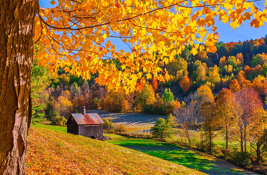 Outono em Vermont, dourado, Vermont, cidade, outono, cores, pacífico, lindo, casas, árvores, outono, vila, campo, folhagem papel de parede HD