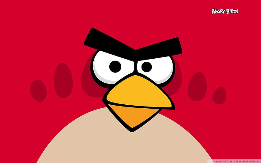 Angry Birds Hd Wallpaper Pxfuel