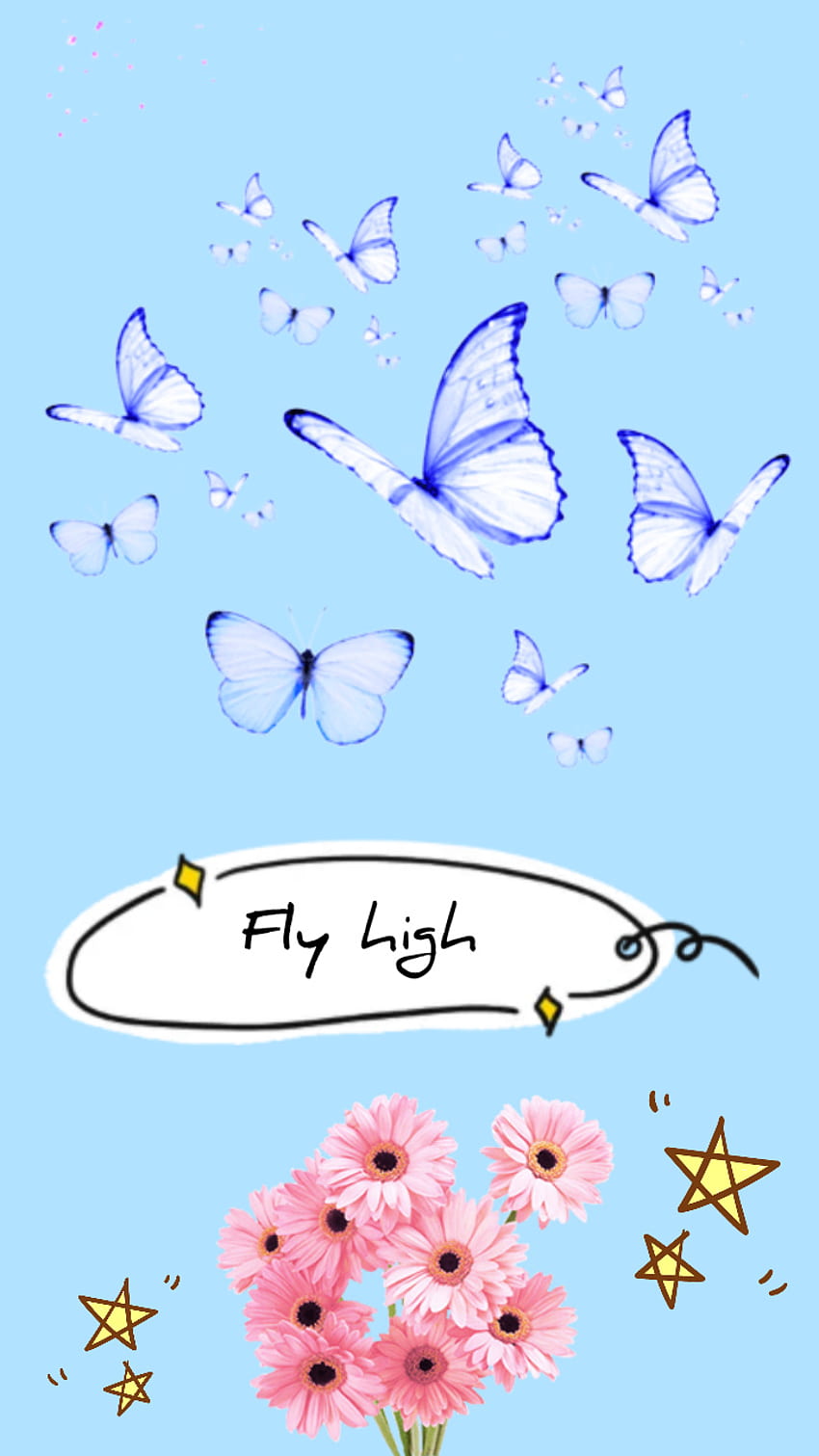 HD fly high wallpapers  Peakpx