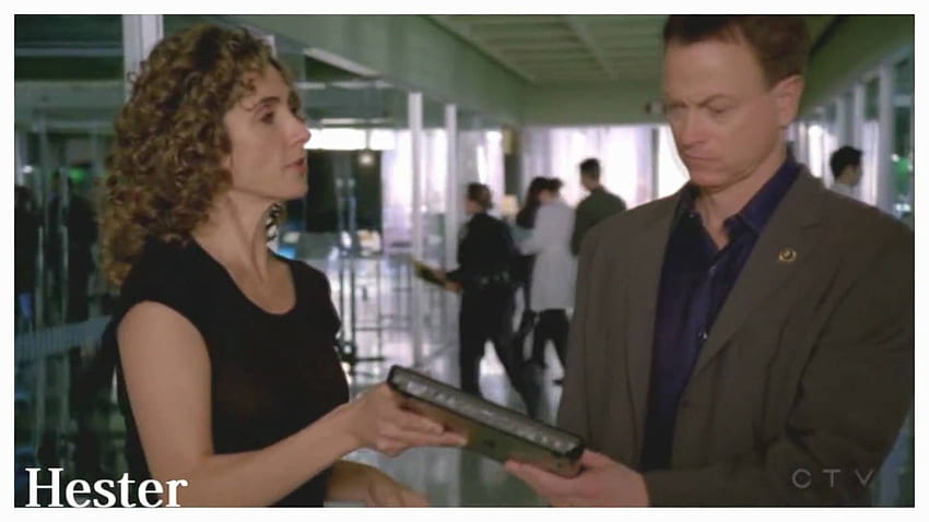 CSI:NY.. Stella Bonasera & Mac Taylor.. Tora Tora fila me, CSI New York ...