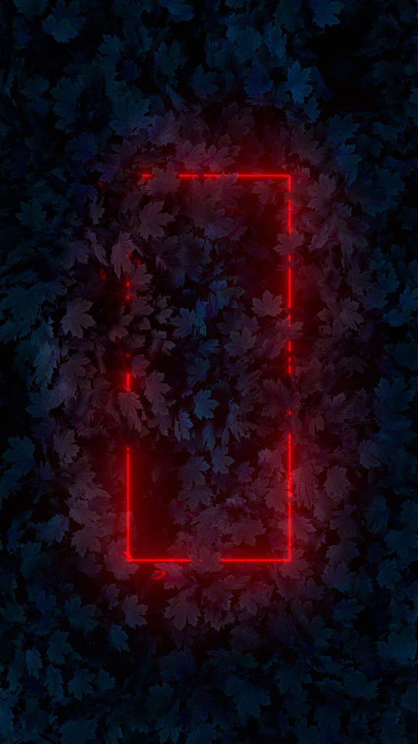 red letters neon light iPhone Wallpapers Free Download