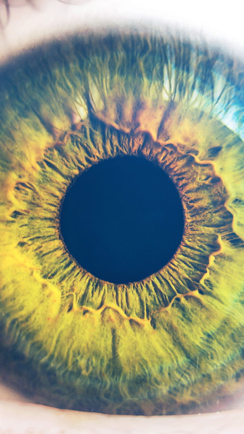 Eye Human Nature Pupil Body Science Flare Blue Android - Android, Natural Science HD phone wallpaper
