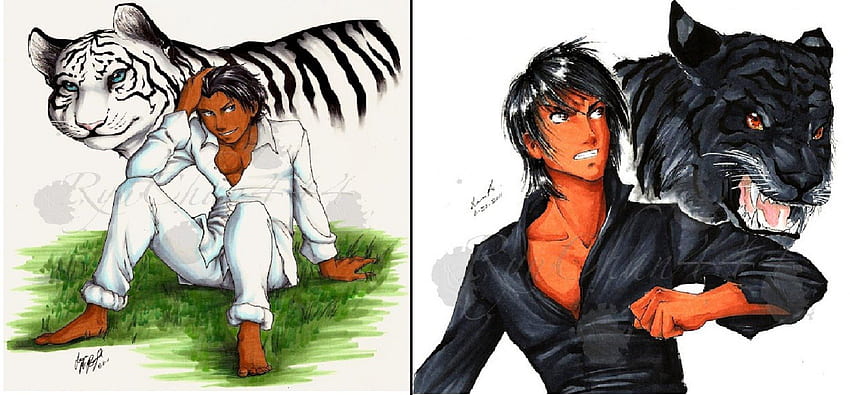 Drawings of Ren & Kishan as men & in tiger form, ren, curse, tiger, form, drawings, kishan HD wallpaper