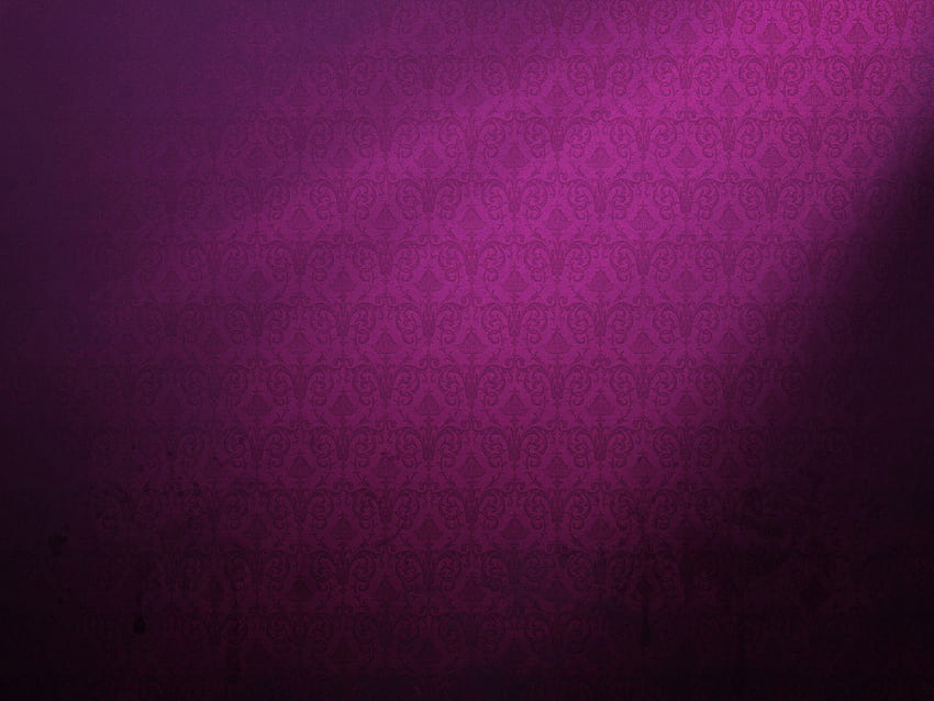 Millésime violet Fond d'écran HD