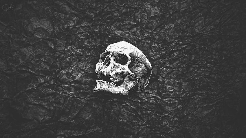 Ludzka czaszka, Czarny, Biały, Abstrakcja • For You For & Mobile, Czarny szkielet Tapeta HD