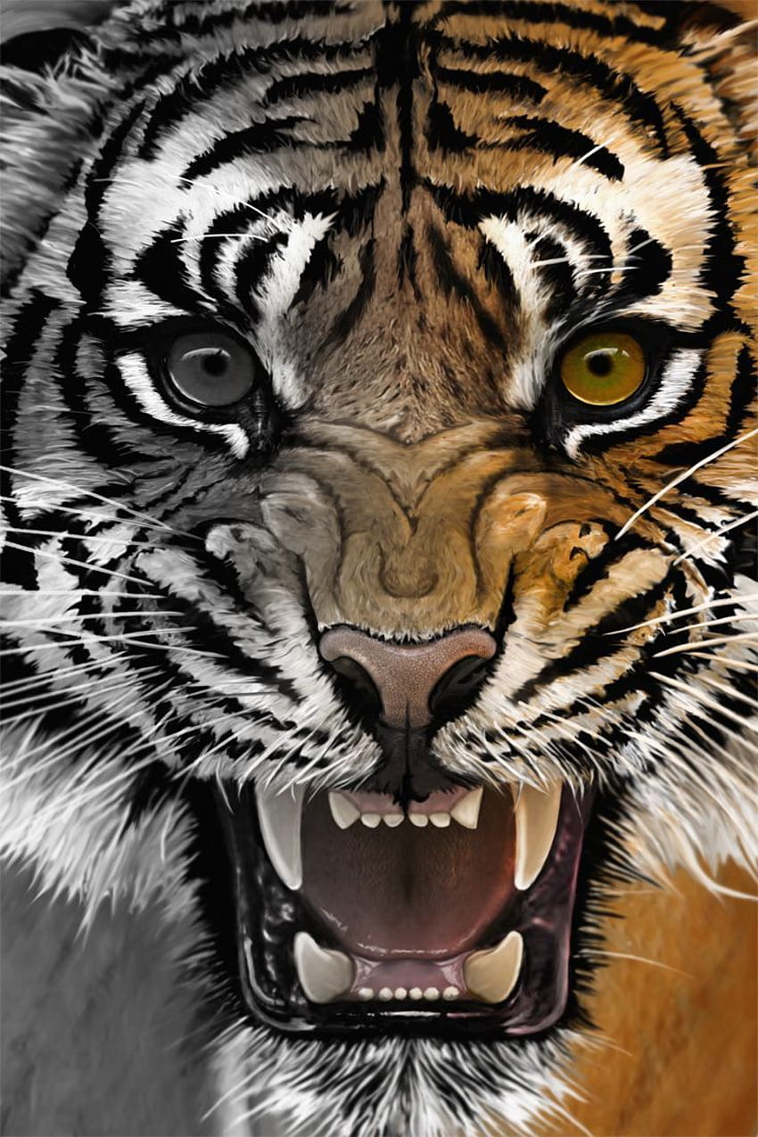 Rugido de tigre. Obra de tigre, Tigre, Obra de arte motivacional, Cabeza de tigre rugiente fondo de pantalla del teléfono