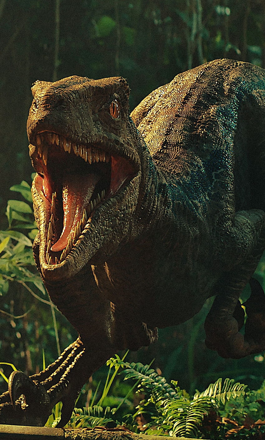 film, jurassic world: düşmüş krallık, Dinozor HD telefon duvar kağıdı