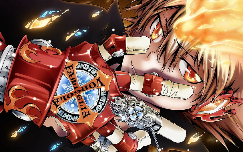 De la tablette de fond Anime Boy - Katekyo Hitman Reborn, Manga Fond d'écran HD