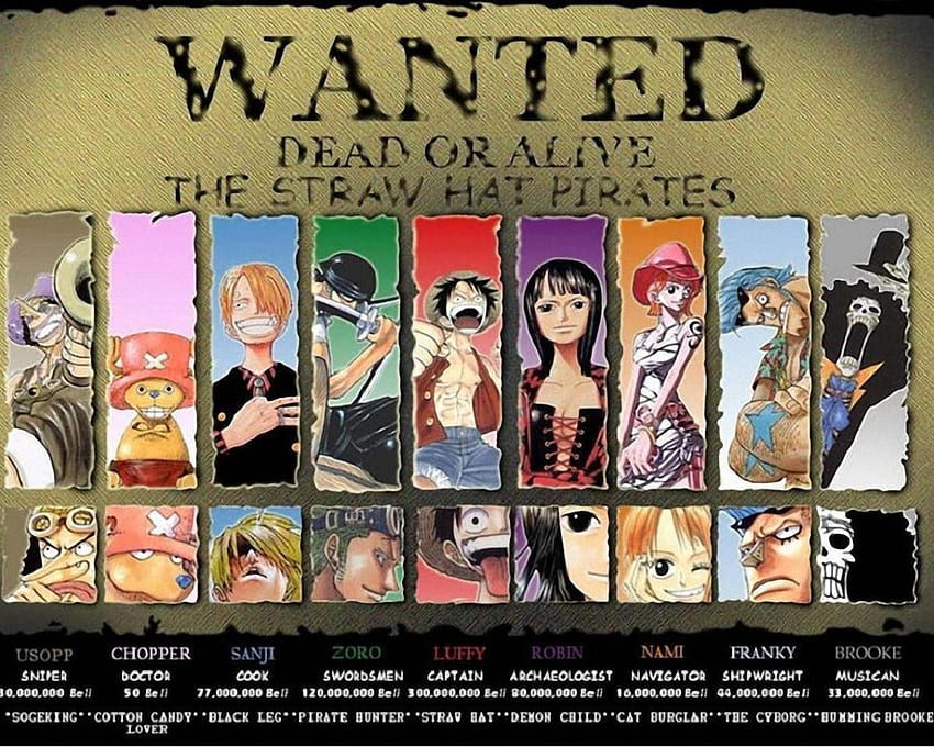 one piece anime anime sombrero de paja piratas monkey d luffy – Anime One Piece, Straw Hat Crew fondo de pantalla