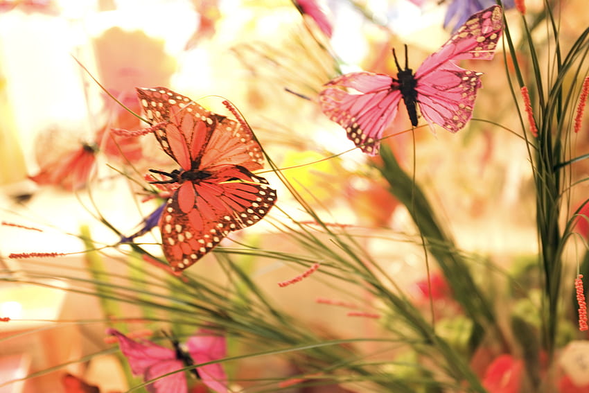 Sweet Spring Life, peaceful, spring, precious, butterflies, animals, bright, sparkle, shine, pastel colors, sunshine, wings, garden, beautiful, fresh, orange, light, green, fly, soft pink, forever HD wallpaper