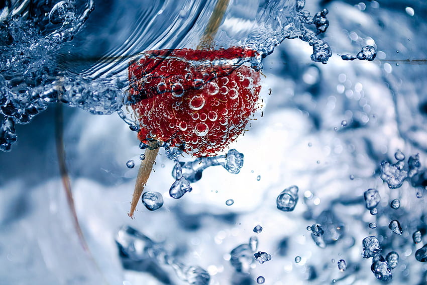 Bubbles, Raspberry, Macro, Close-Up, Toothpick HD wallpaper