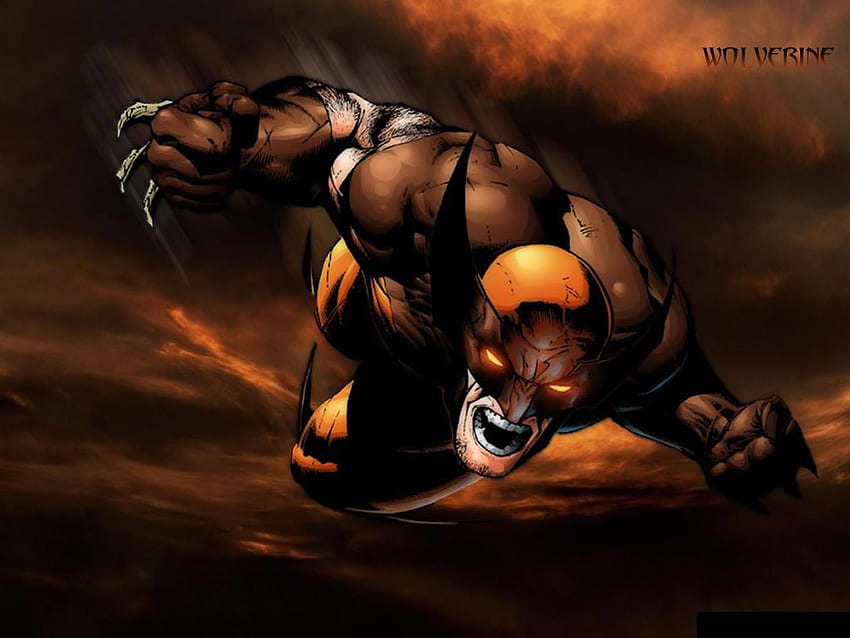 Wolverine, eroe, fantasia, fumetto, x uomini Sfondo HD