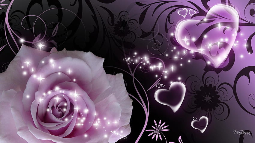 Lila Rose und Herz, schöne Herzen HD-Hintergrundbild