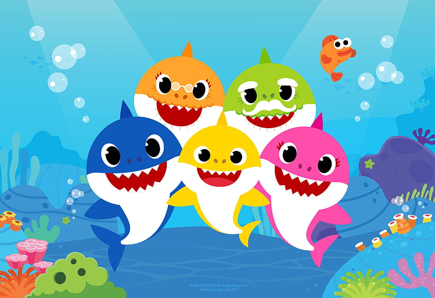 Shark Puppet, baby shark HD wallpaper | Pxfuel