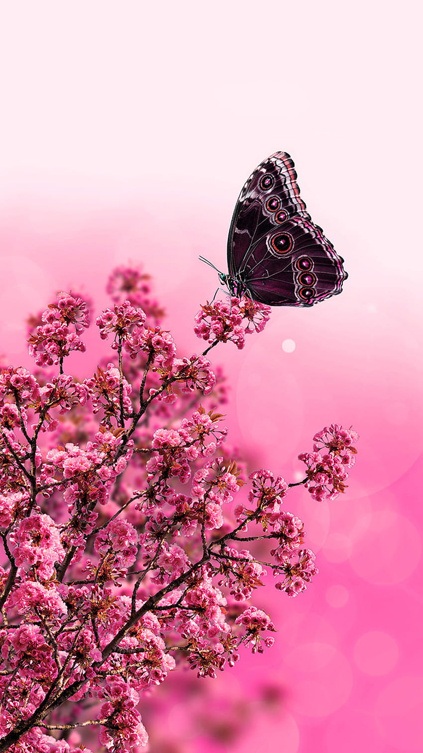 TAP AND GET APP ⬆️ Mariposa con flores rosas para iPhone 6 de Eve. Naturaleza iphone , Flor iphone , de flores fondo de pantalla del teléfono