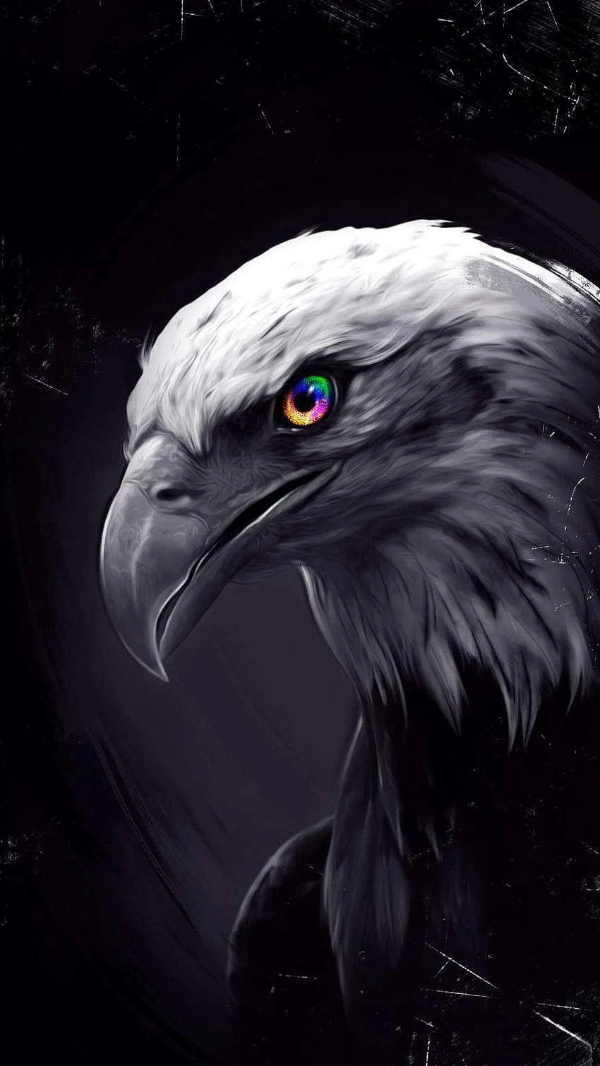 Eagle Eyes iPhone . Eagle , Eagle , Wild animal, Black Eagel HD phone wallpaper