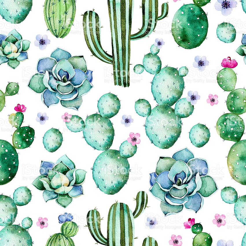 Seamless Pattern With Watercolor Cactus Plants, Succulents Royalty Seamless Pattern With Watercolor Cac. Succulents , Cactus Print, Watercolor Cactus HD phone wallpaper