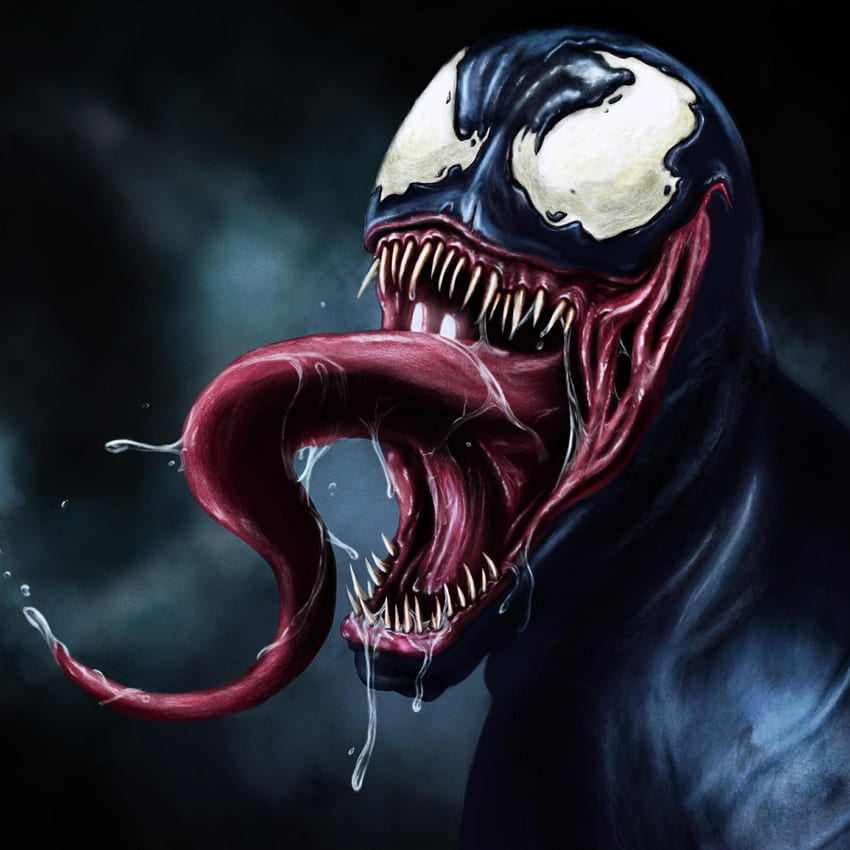 Venom, Spider-Man and Venom HD phone wallpaper | Pxfuel