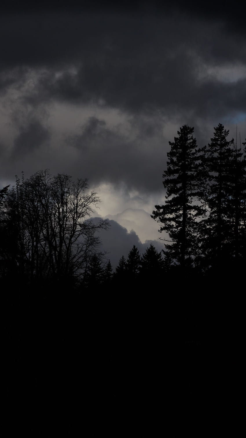 forêt, sombre, sombre iphone 8+/7+/6s+/pour fond de parallaxe, Black Cloud Forest Fond d'écran de téléphone HD