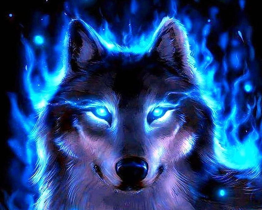 Loups bleus, loup bleu fluo Fond d'écran HD