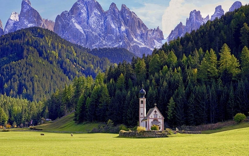 イタリアの教会、イタリア、自然、教会、木 高画質の壁紙