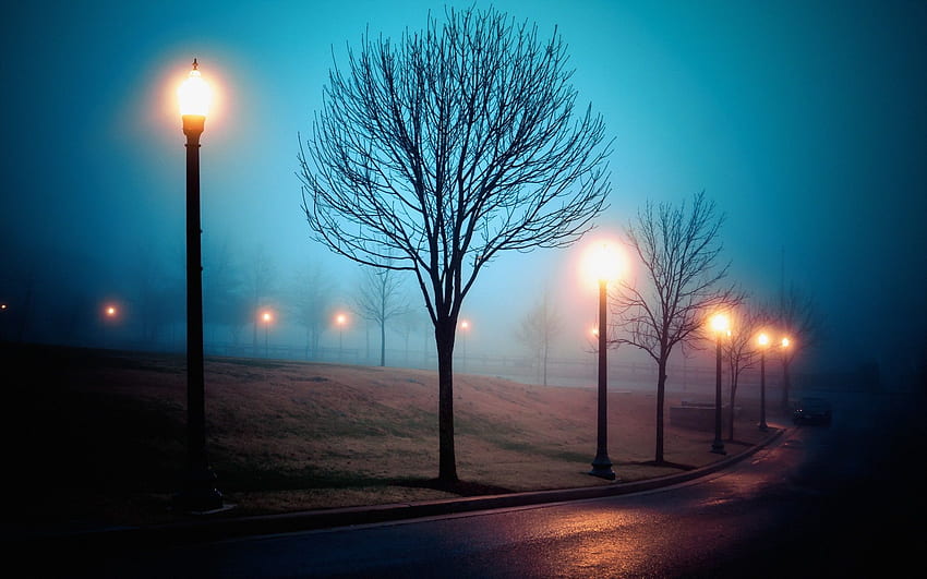 Fog, city, street, park, lights, night . travel and world HD wallpaper