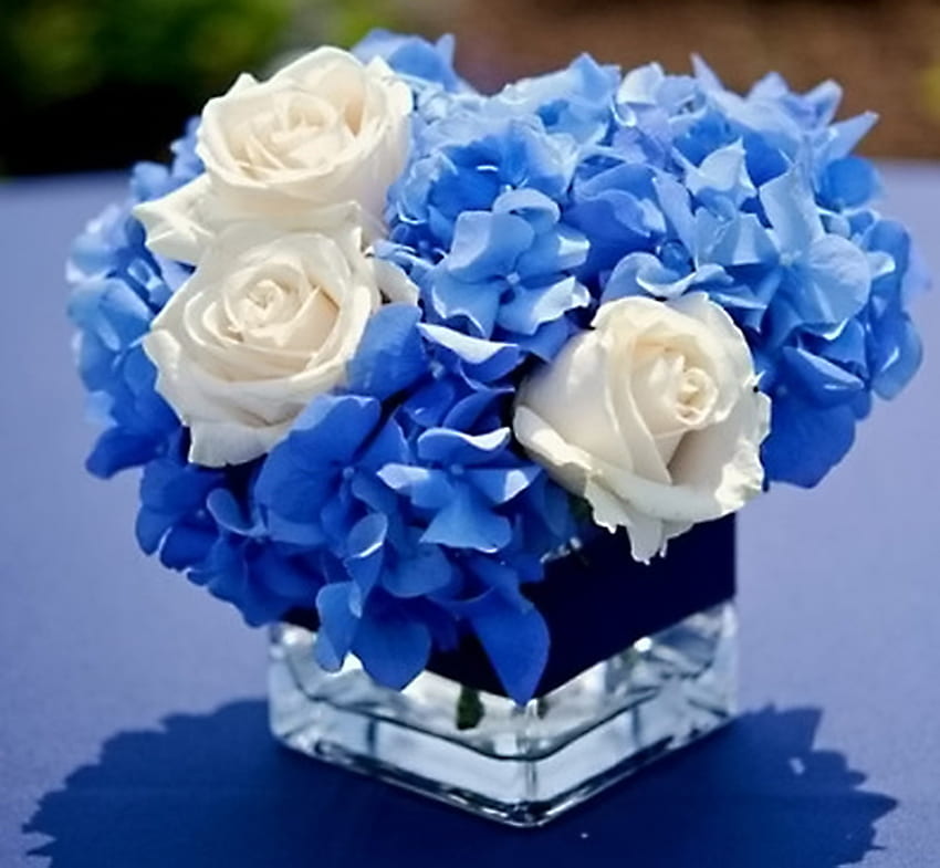White and blue for you, blue, white, roses, crystal, flowers HD wallpaper