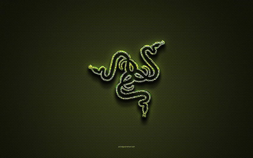 Razer logo, floral green logo, Razer emblem, green carbon fiber texture, Razer creative art, Razer HD wallpaper