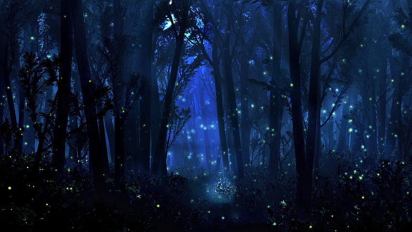 Mistyczny las, mistyczny laptop Tapeta HD