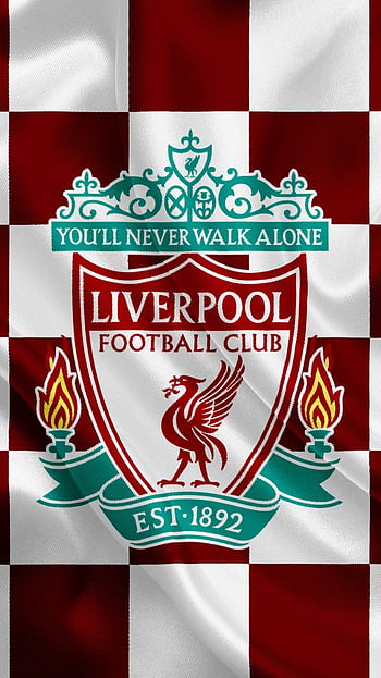 Kid logo liverpool dream league hot sale soccer 2020