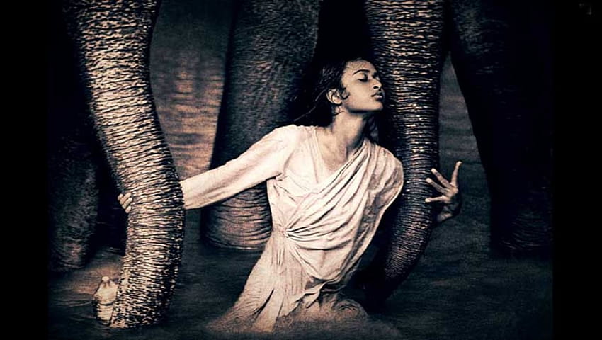 Love To Elephant, elefantes, resumo, 3d, homem, amor, elefante papel de parede HD