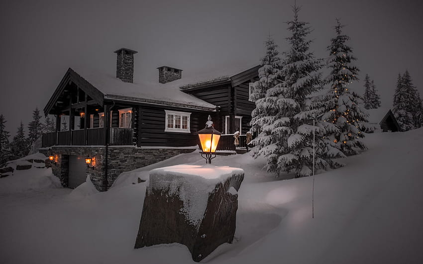 Zimowa noc, światło, domy, śnieg, drzewa Tapeta HD