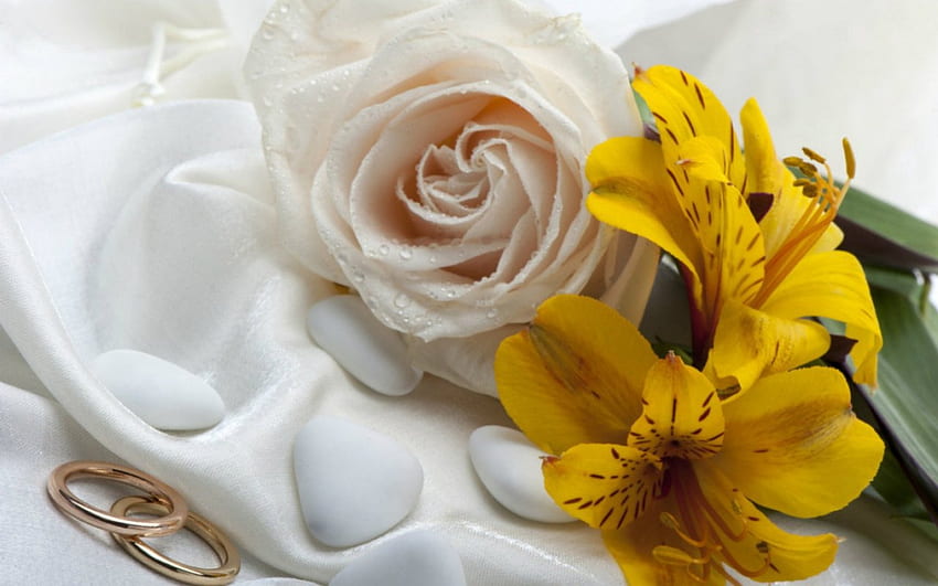 Wedding ring, rose, flowers, wedding, ring HD wallpaper