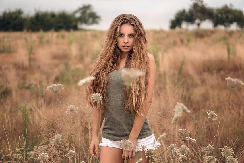 Isabella in a Field, modelka, blondynka, pole, szorty Tapeta HD