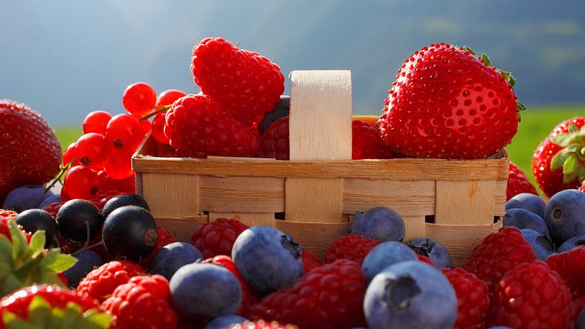 Fresh berries in basket, colorful, strawberries, nice, basket, yummy, raspberries, berries, delicious, beautiful, fruits, fresh, mountain, blueberries, freshness, red, nature, lovely HD wallpaper