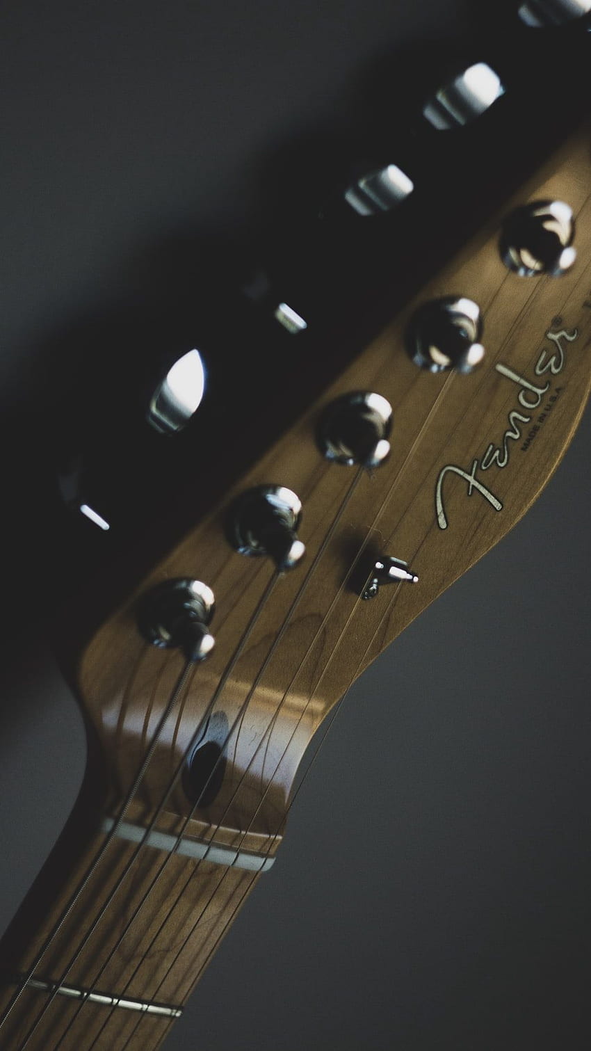 brown Fender guitar headstock, Fender Logo HD phone wallpaper