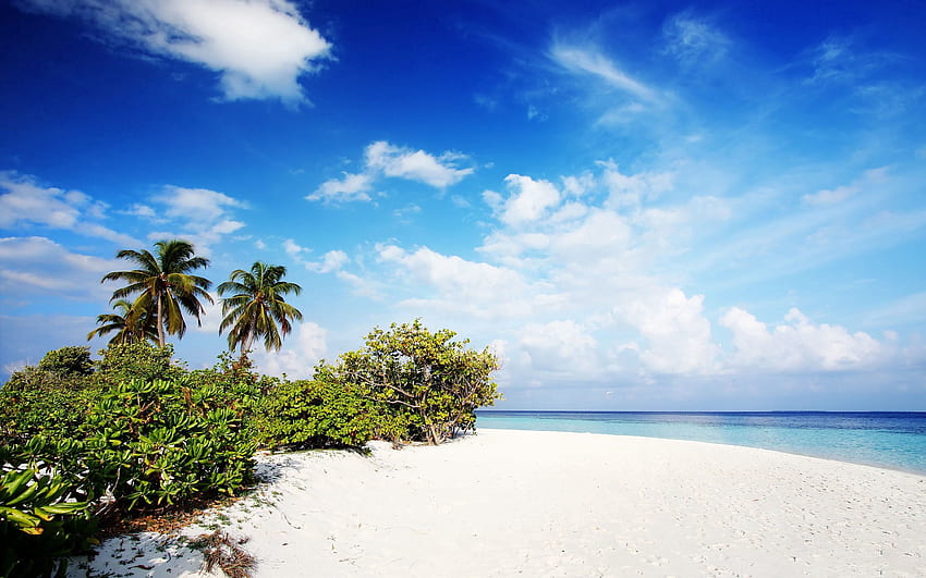 Природа, плаж, пясък, палми, Малдиви HD тапет