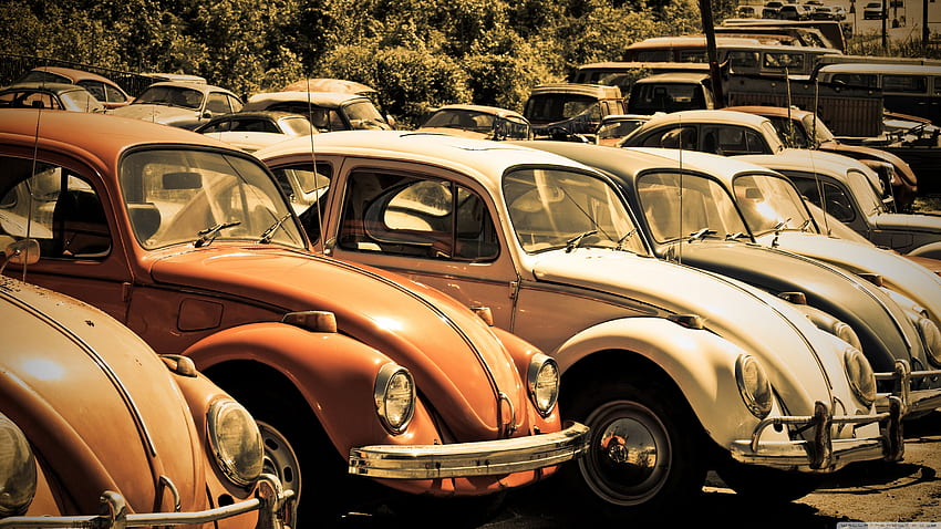 Old Volkswagen Beetle Junkyard Ultra Background HD wallpaper
