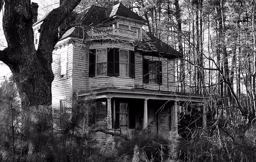 오래 된 무서운 집, 집, 건축물, 오래 된, 검정색과 흰색 HD 월페이퍼
