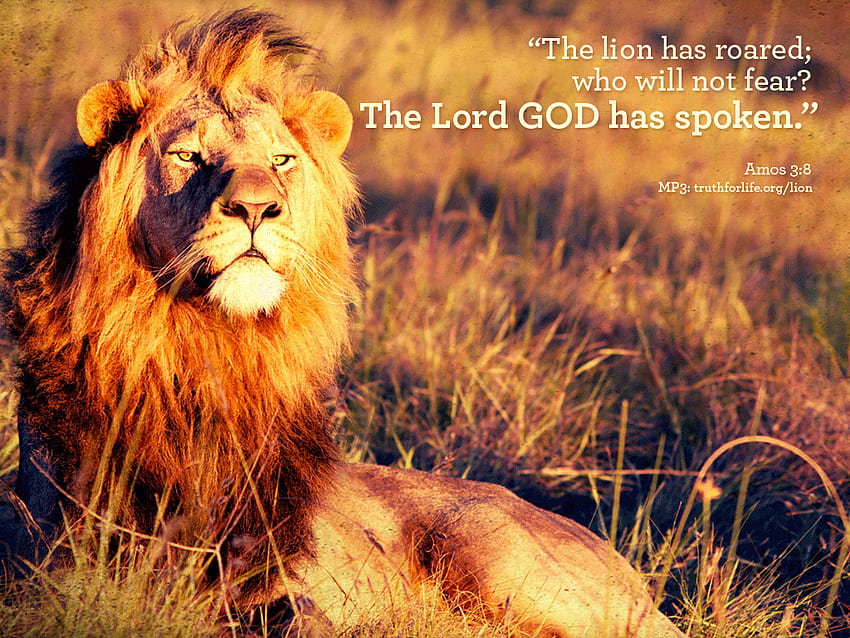Cytaty biblijne z lwa. CytatyGram, Lion Motywation Bible Tapeta HD
