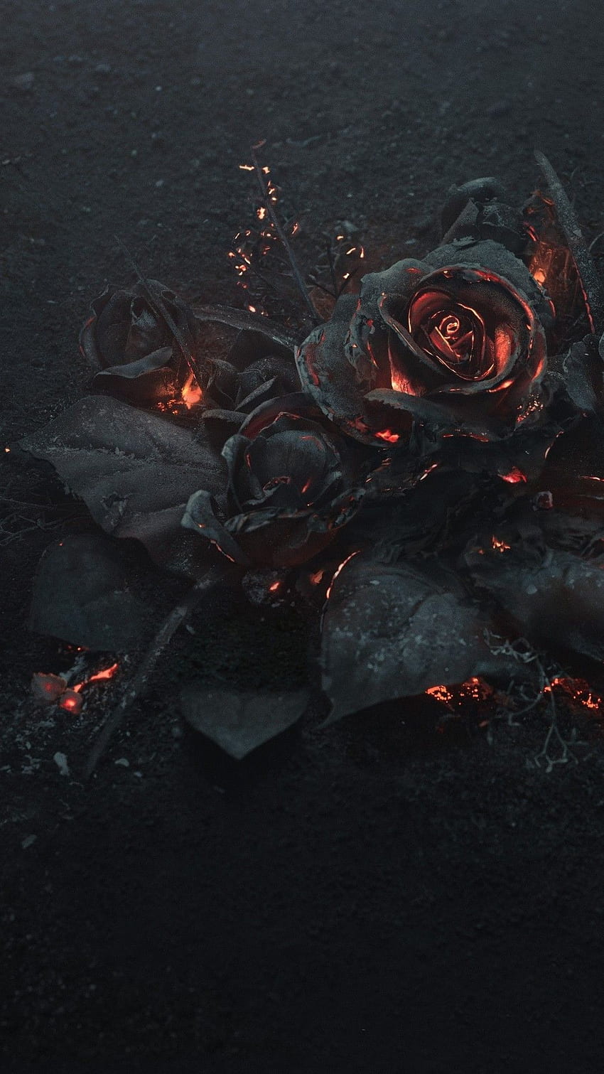 Rose Ashes, Fire, Black, Dark Theme for iPhone 8, iPhone 7 Plus, iPhone 6+, Sony Xperia Z, HTC One HD phone wallpaper