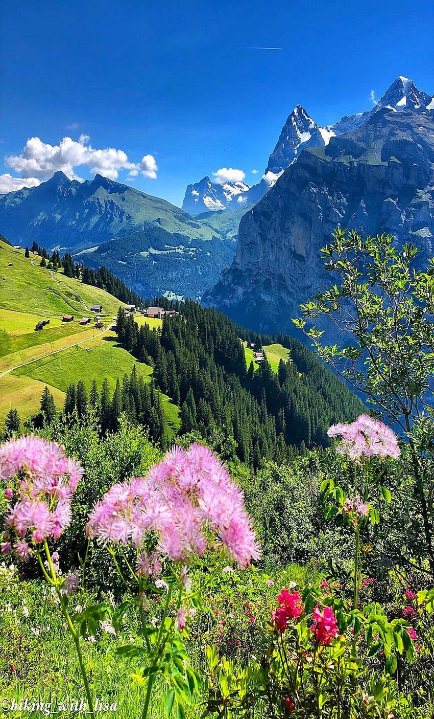 Mürren, Svizzera. Bei posti natura, Bei paesaggi, Bella natura Sfondo del telefono HD
