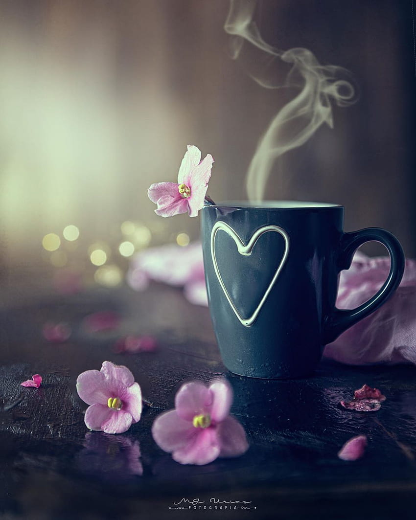 Maria Jose Urios auf Instagram: „Meine Tasse Kaffee“ - - - - - - HD-Handy-Hintergrundbild