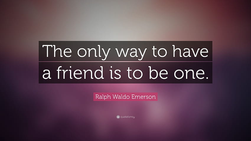 Top With Friendship Quotes, Best Friend Quotes HD wallpaper | Pxfuel