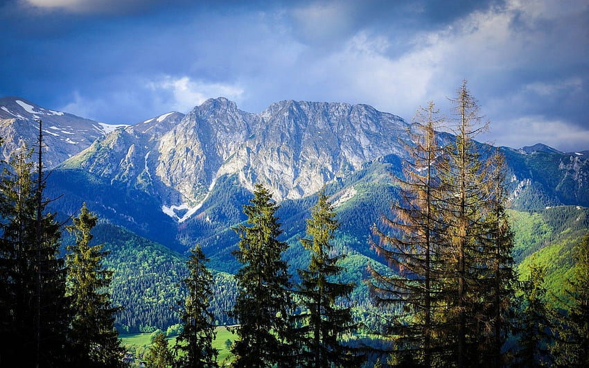nature, Landscape, Mountain, Forest, Carpathians, Trees, Clouds, Poland HD wallpaper