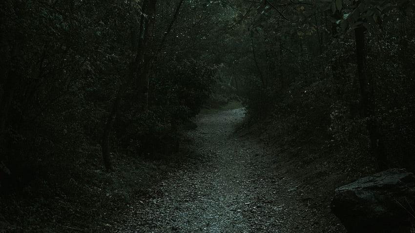 floresta, caminho, escuro, sombrio, natureza tablet, plano de fundo do laptop papel de parede HD