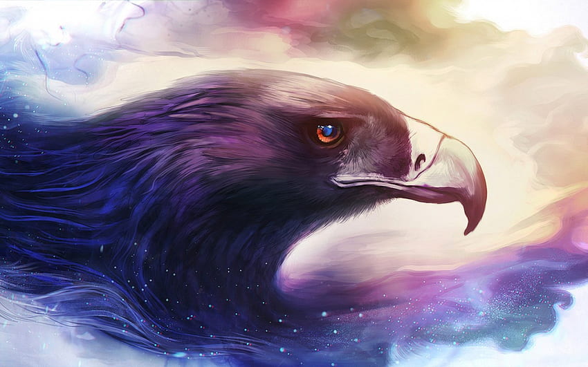 Colorful eagle, colorful, annimal, color, bird, eagle, head, magical, paint, lovely HD wallpaper