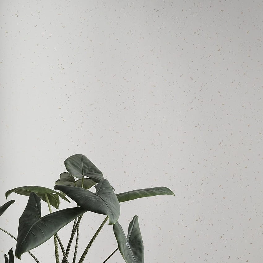 Ferm Living Confetti - Off White. Off White Confetti, White Plant HD phone wallpaper