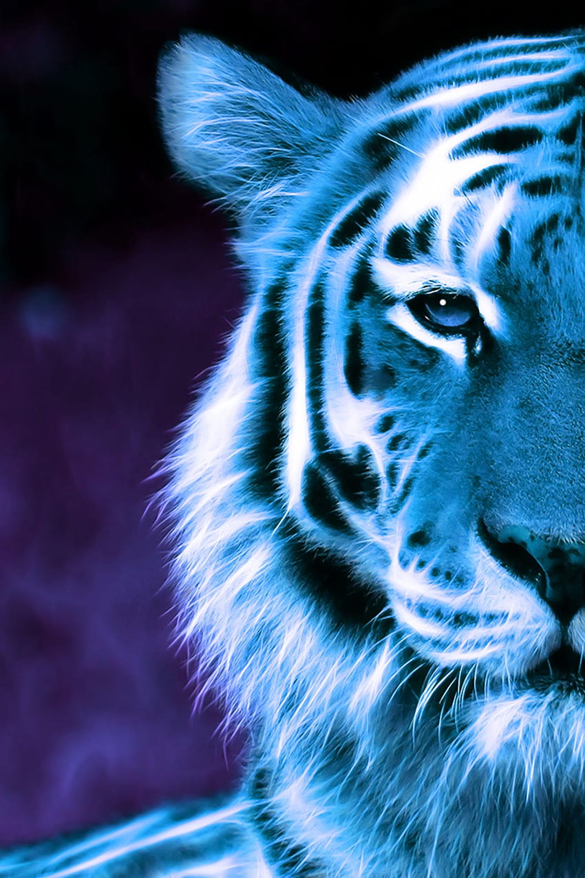 1920x1080 Blue Eyes White Tiger In Fantasy World 1080P Laptop Full HD  Wallpaper HD Animals 4K Wallpapers Images Photos and Background   Wallpapers Den
