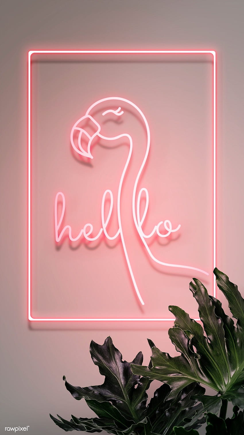 Premium of Neon red hello with a flamingo in a frame 894325. Neon , Pink iphone, Flamingo 見てみる HD電話の壁紙